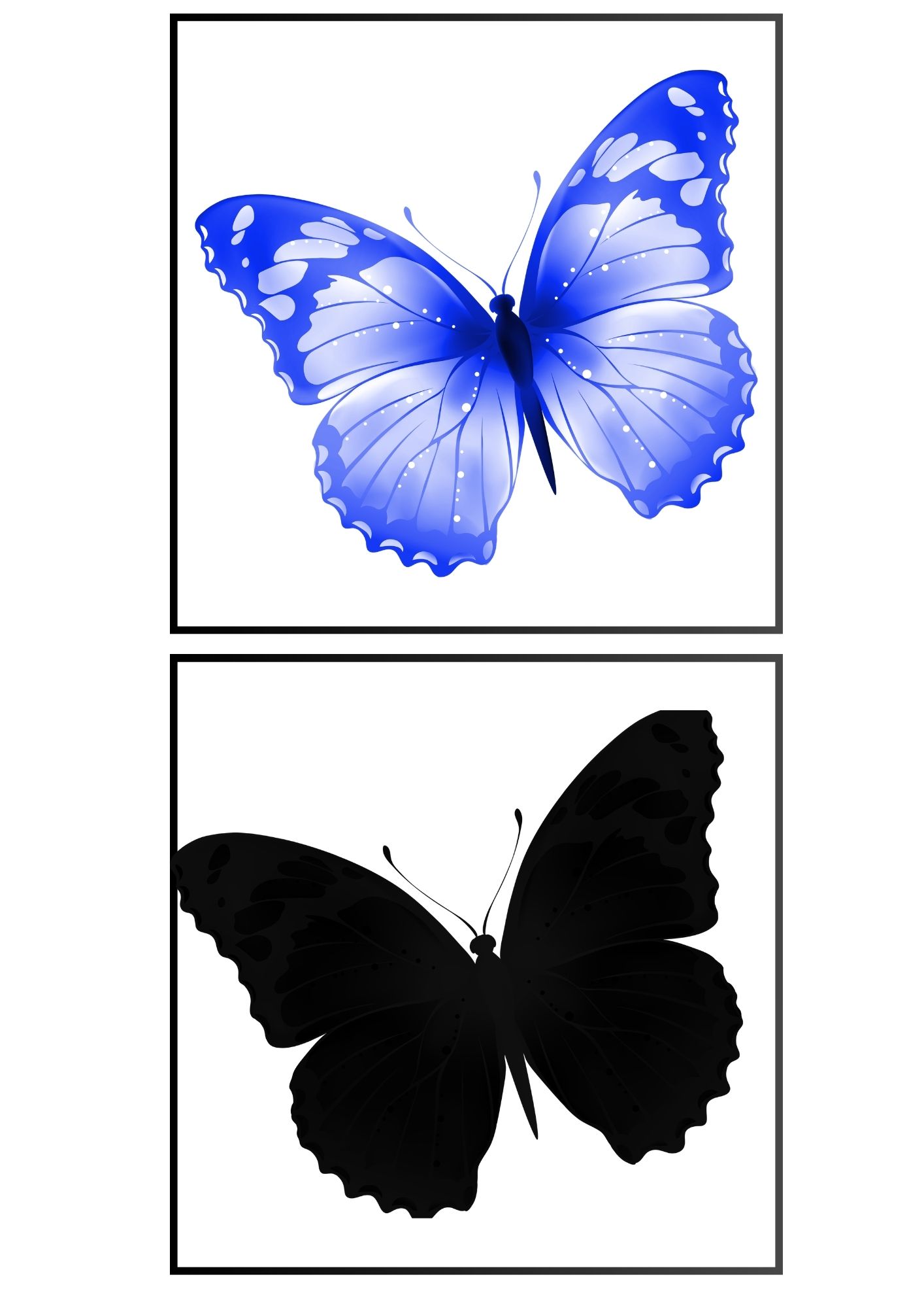 13%20motyl