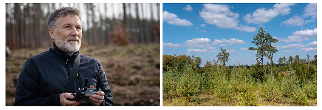 Przykład działania głębi ostrości